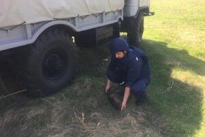 Рівненські шляховики знайшли артилерійські снаряди