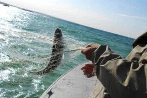 В Азовському морі зникли три рибалки