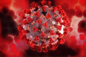 Стабільно високі показники: учора на Волині на COVID-19 захворіло ще 1118 людей, 9 померло