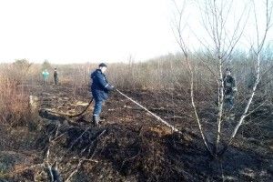 У Фалемичах, Іваневі та Ольганівці горіла суха трава