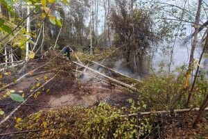 На Волині рятувальники боролися з вогнем у непрохідних хащах