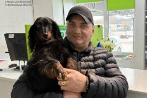 Мандрівниця Жужа: до сервісного центру на Волині завітала собака, яка подорожує світом