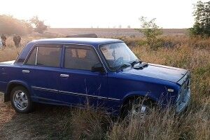 50-річний чоловік зґвалтував в автівці 12-річну дівчинку, а потім сховався від поліції в очереті