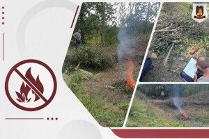 На Волині спіймали на гарячому палія сухої трави