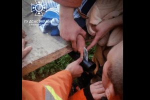 На Львівщині 7-річна дівчинка «прикувалася» до воза