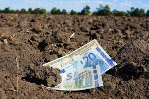 Іноземець примусово відчужив п’ять земельних ділянок на Волині