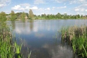 На Рівненщині в ставку втопилася 15-річна дівчина, 20-літнього юнака досі шукають 