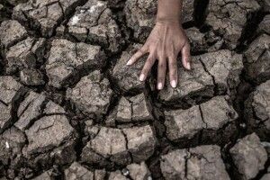 На заході України зафіксували землетрус