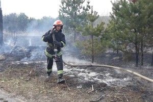 У суботу на Рівненщині весь день горіли чагарники