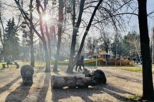 Дитину вбила дерев'яна скульптура ведмедя
