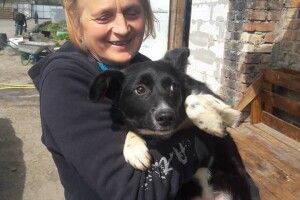 Під час карантину лучани продовжують обзаводитися вірними чотирилапими друзями (Фото)