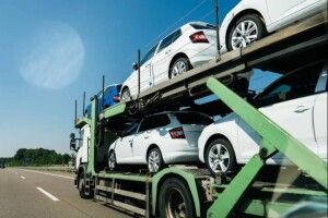 Директора фірми на Волині покарали за махінації з розмитненням авто