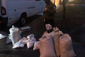 На Волині вилучили бурштин вартістю понад пів мільйона гривень (Фото)