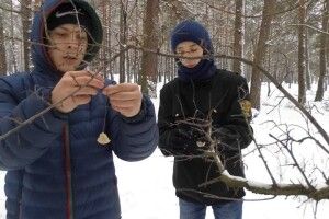 Дітлахи подбали, щоб птахам легше зимувалося