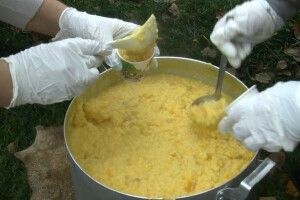 Як у Луцькому зоопарку гарбузовою кашею пригощали 