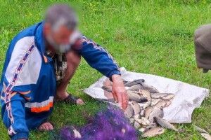 На волинському озері рибалка наловив риби на понад 87 тисяч гривень 