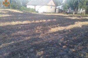 Палила стерню: на Волині в пожежі знову загинула жінка (Фото) 
