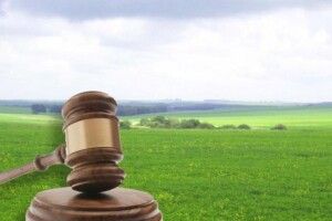 Підприємці незаконно користувалися землею у центрі Луцька. Громада втратила понад мільйон гривень