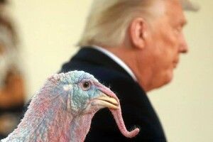 У Трампа зриває дах: він вважає, що Байден – це… робот!