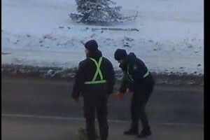 У Сарнах патрульні врятували  пораненого собаку (відео)