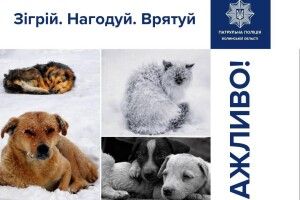 На Волині патрульні закликають про допомогу