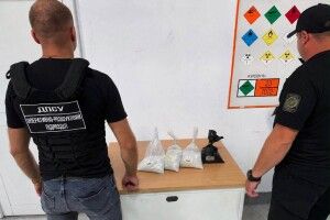 В Україну намагалися незаконно ввезти 20 кг срібла