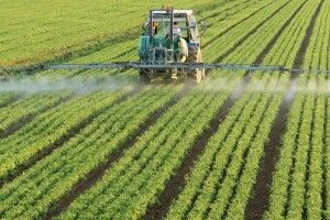 Волинь: агровиробництво зростає за рахунок великих підприємств