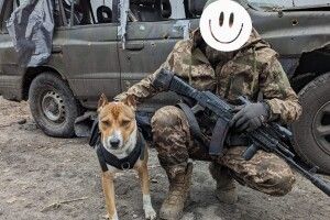 Військовий з Волині шукає господаря для врятованого від війни собаки