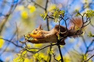 Синоптик шокувала прогнозом погоди на вихідні