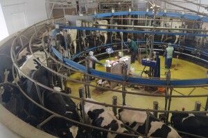 На Волині вчили перевіряти якість молока