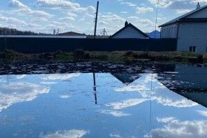 Що відбувається з унікальними Оконськими джерелами на Волині (Фото)