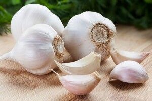 В Україні вивели новий сорт часнику