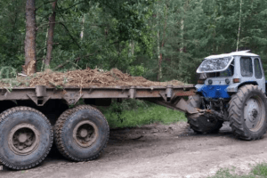 На Волині засуджено водія, який скоїв смертельну ДТП у стані сп'яніння