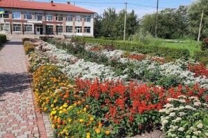 Освітні заклади Камінь-Каширського району – найквітучіші в Україні