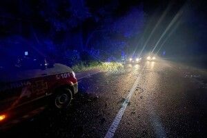 На Ковельщині дерево впало на дорогу і частково перекрило рух транспорту
