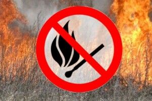 Волинянам пригрозили штрафами за пущеного на суху траву червоного півня