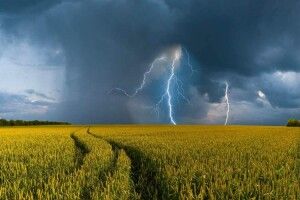 На Волині завтра можливі короткочасні дощі та грози