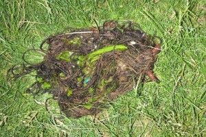 На Турії у браконьєрів відібрали сітки