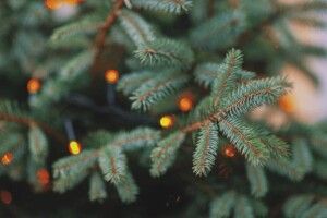 Якою буде погода на Волині