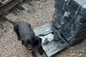 Волинські митники виявили контрабанду, сховану серед тонн залізної руди