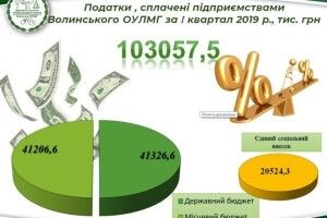 Скільки податків заплатили лісівники Волині