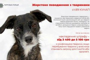Рівненські патрульні обіцяють оштрафувати на 3400–5100 гривень кожного, хто образить Сірка, Бобика чи Тузика