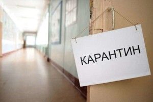 У школах Іванич та Володимир-Волинському районі ввели карантин