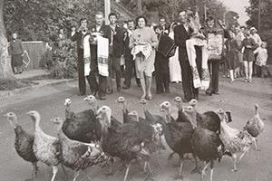 ФОТОФАКТ: весілля з приданим!