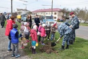 Хочете побачити катальпу бігнонієвидну? Йдіть на Дубнівську!