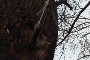 Українські морпіхи близькі до звільнення села під Маріуполем