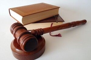 На Волині у власність держави повернули землі лісового фонду вартістю понад 9 мільйонів гривень