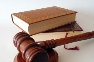 Чоловіка, який без дозволу викопав ставок на Горохівщині, судитимуть