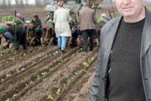 ОВОЧІ ЛЮБЛЯТЬ, ЩОБ ЇМ КЛАНЯЛИСЯ