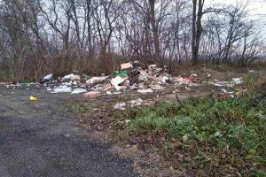 У Ковельському районі селяни взялися гуртом вирішувати сміттєву проблему
